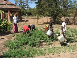 Développement à grands pas